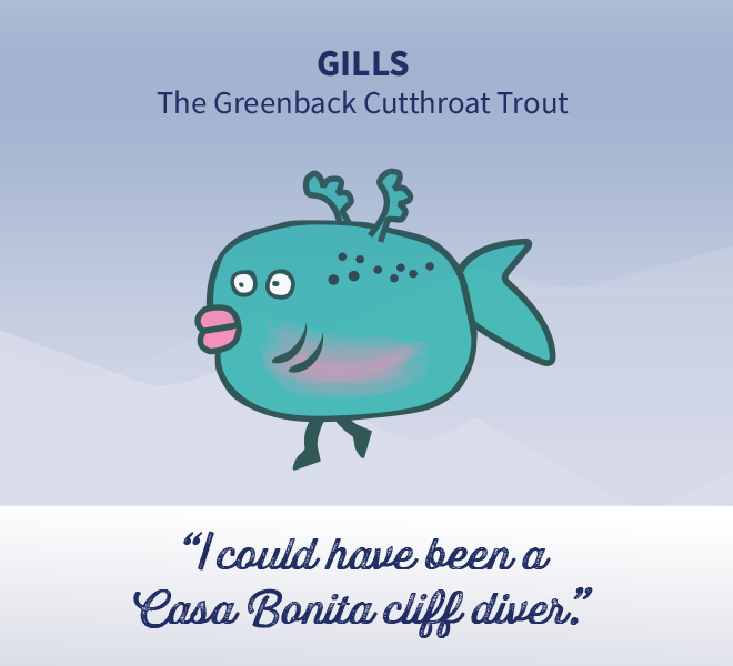 Gills the Greenback Cutthroat Trout: "I could have been a Casa Bonita cliff diver."