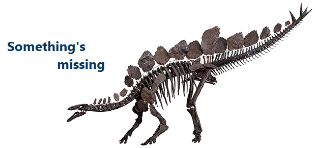 Image of a Stegosaurus skeleton